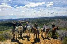 East Zion Pine Knoll Horseback Ride