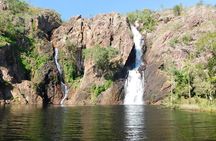 Litchfield Park & Jumping Crocodile Cruise 