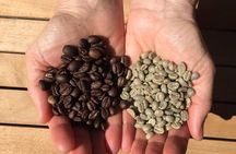 Roast Your Own Coffee