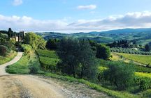 Hiking Tuscany & Chianti Wine - 3 Organic Wineries with lunch