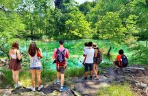 From Split: Plitvice Lakes National Park Guided Tour