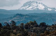 Materuni Waterfalls, coffee tour & Kikuletwa Hot Springs