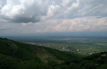 Kakheti-Sighnaghi Day Trip with wine tasting and Bodbe Monastery