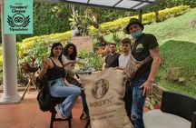 Best Coffee brewing workshop in AVOEDEN cafe