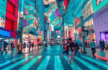 Tokyo Like a Local: Customized Private Tour