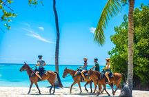  Swimming with Horses at the Beach from Punta Cana Free transportation