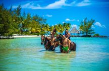  Swimming with Horses at the Beach from Punta Cana Free transportation