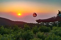 Winery Tour and Wine Tasting at Karimalis Winery in Ikaria