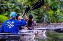 Winter Park Chain of Lakes Day Time Clear Kayak Paddle