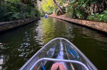 Winter Park Chain of Lakes Day Time Clear Kayak Paddle