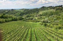 The Dionysus Tour - Wine Tasting at Plešivica and Samobor visit