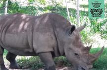 Pablo Escobar private zoo La Hacienda Napoles Tour