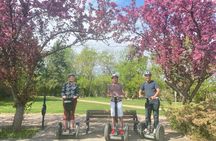 Edmonton River Valley 60-Minute Segway Adventure
