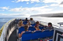 Na Pali Coast Super Raft Adventure with Snorkel