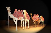 Premium Private Desert Safari with Camel Ride & Live BBQ Dinner