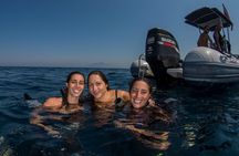 Snorkeling with Marine Biologist Expert from Sorrento