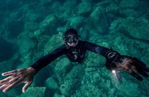 Snorkeling with Marine Biologist Expert from Sorrento