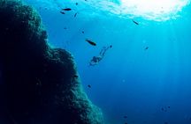 Sorrento Morning RIB Snorkel: 2 Spots with a Marine Biologist