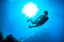 Sorrento Morning RIB Snorkel: 2 Spots with a Marine Biologist