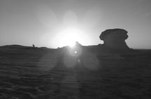 Private Trip To BaharIya Oasis Visit Black & White Desert From Cairo