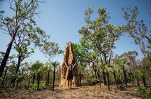 Litchfield National Park Tour with Wetlands or Crocodile Cruise