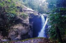2 Day Minca Tour with Bird Watching
