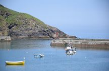 Half-Day Private Doc Martin and Fisherman's Friends Tour