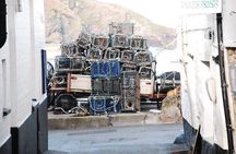 Half-Day Private Doc Martin and Fisherman's Friends Tour