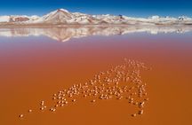 3-Days Tour to the Uyuni Salt Flat and Colored Lagoons +Sunset+Mirror Effect