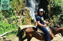 Private Day Tour of Jardín with Horseback Ride and Coffee Villa from Medellin