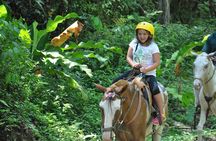Horseback Riding through the Jungle 