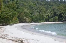Full-Day Adventure to Manuel Antonio National Park from San Jose