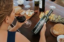 Full Day Visit to Vineyard and Premium Tasting in San Miguel
