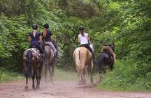 Kusadasi Horse Riding Beach and Forest options with Transfer 