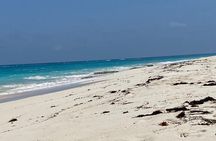 The Bermuda Elbow Beach Escape Day 