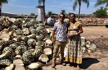 Tequila: Private Half-Day Tour