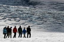 Full Day Guided Glacier Hike on The Athabasca with IceWalks