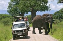 4-Days Private Midrange, Tarangire Ngorongoro, Manyara & Materuni