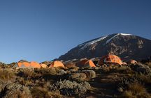 7-Day Kilimanjaro Hiking Tour via Machame Route