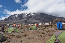 7-Day Kilimanjaro Hiking Tour via Machame Route