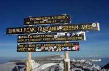 7-Day Kilimanjaro Hiking Tour via Machame Route
