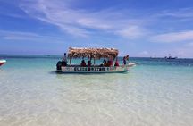 4-Hour Glass Bottom Boat Experience in Punta Cana