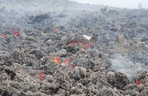 Pacaya Volcano & Guatemala City Private Tour