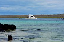 Full-day Adventure Tour at Espanola Island (Waved Albatross Island)