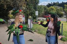 Lamington National Park, O'Reilly's & Vineyard Tour