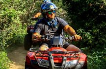 Cactus Combo Combine two of your favorite desert tours 

