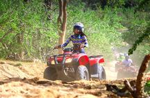Cactus Combo Combine two of your favorite desert tours 
