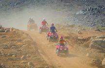 Cactus Combo Combine two of your favorite desert tours 
