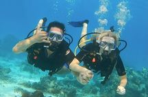 Romantic Dive for beginners in Bora Bora (2 people) with Video