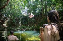 Cape Tribulation Day Tour from Cairns